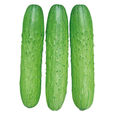 Ruijia F1 No.1 Hybird