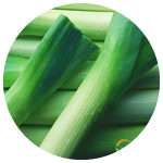Spring Onion